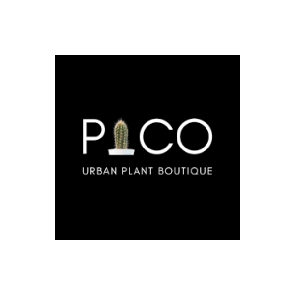 pico plants logo