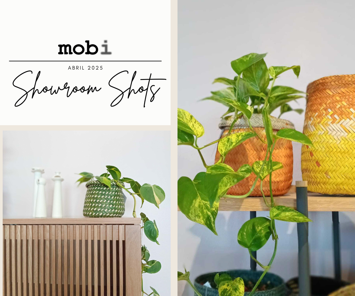 mobi slide01