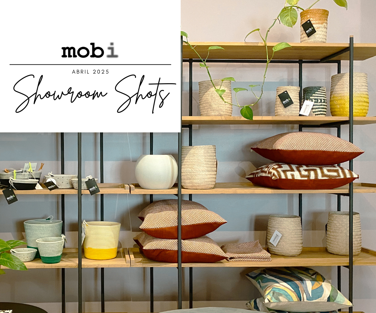 mobi slide01