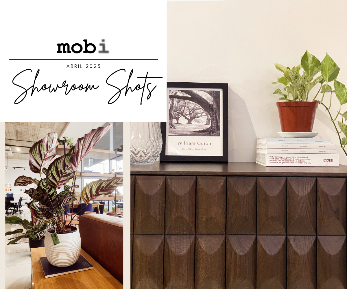 mobi slide01