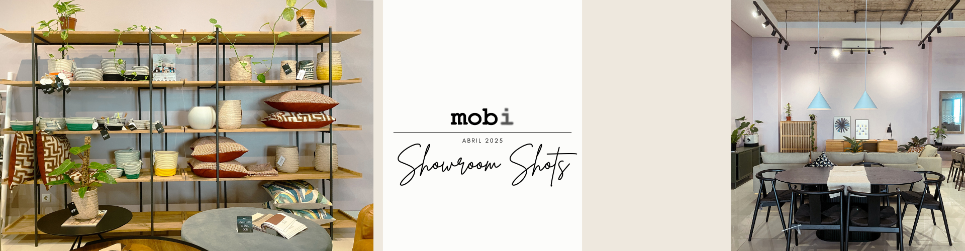 mobi slide01