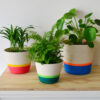 planter, green+neon green poly