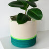 planter, green+neon green poly