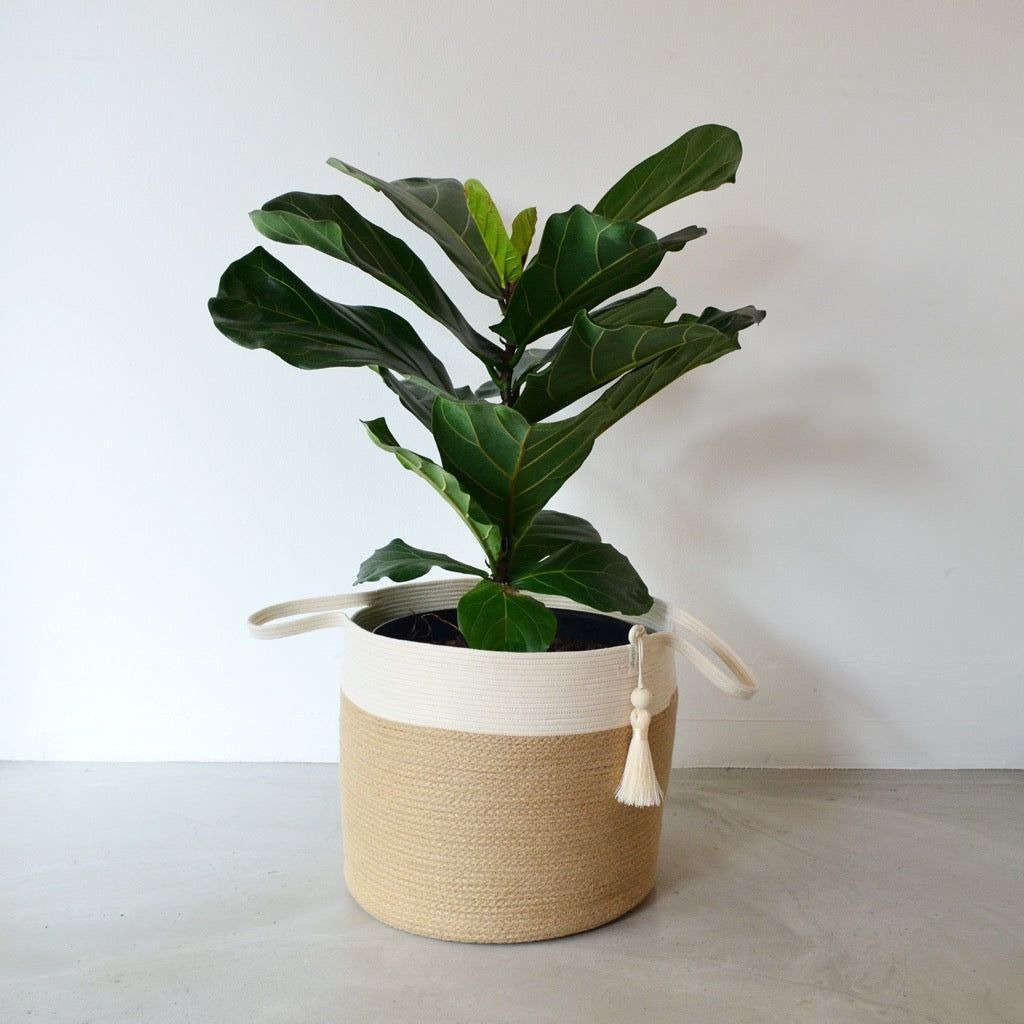 mia mélange | cesto do chão jute jungle, cor jute jungle