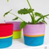 planter basket fruit pastilles, teal