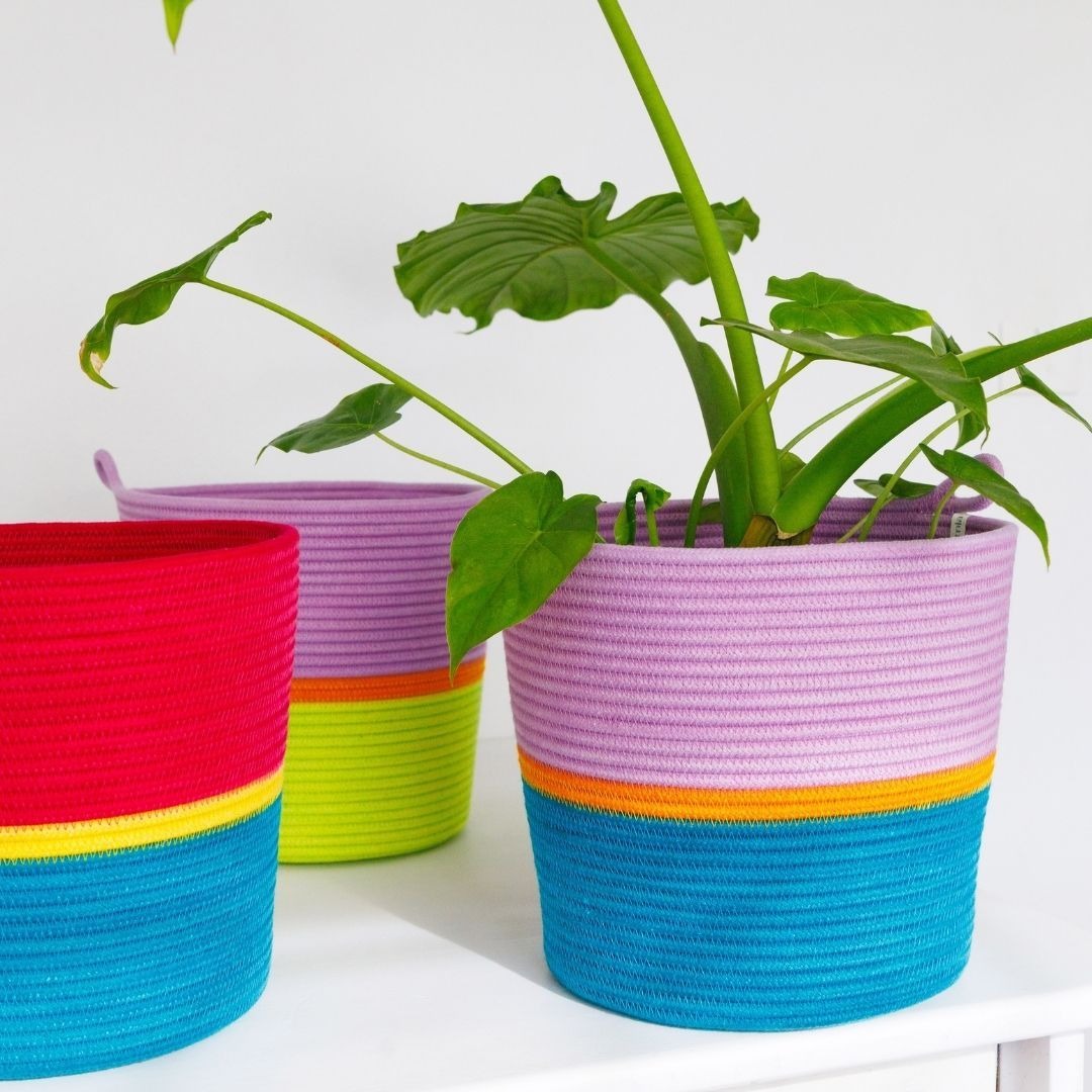 planter basket fruit pastilles, teal