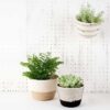 mia mélange | vaso jute jungle, jute block