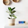 mia mélange | vaso jute jungle, jute block