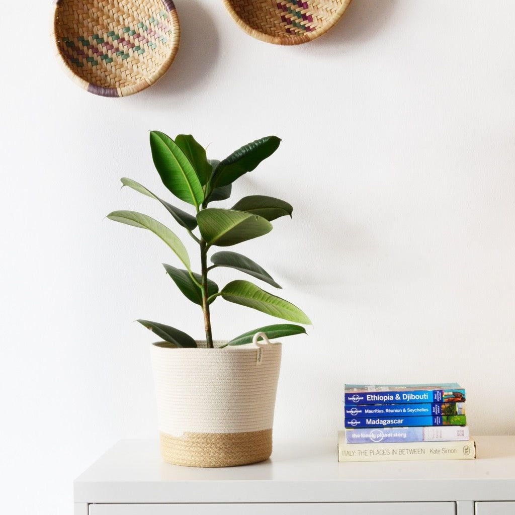 mia mélange | vaso jute jungle, jute block