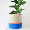 mia mélange | cesto alsas spring & summer ocean blue & neon orange