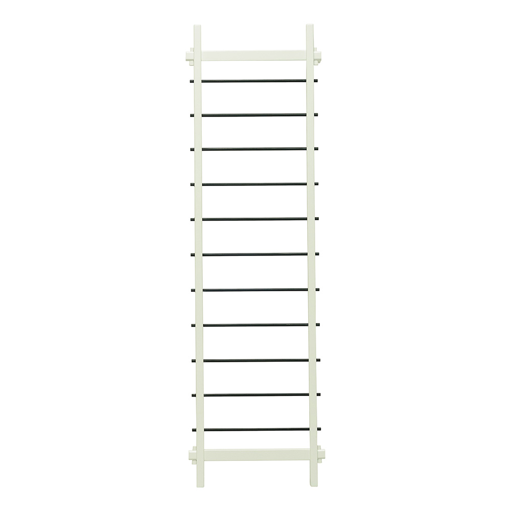 meiter ladder 1.jpg