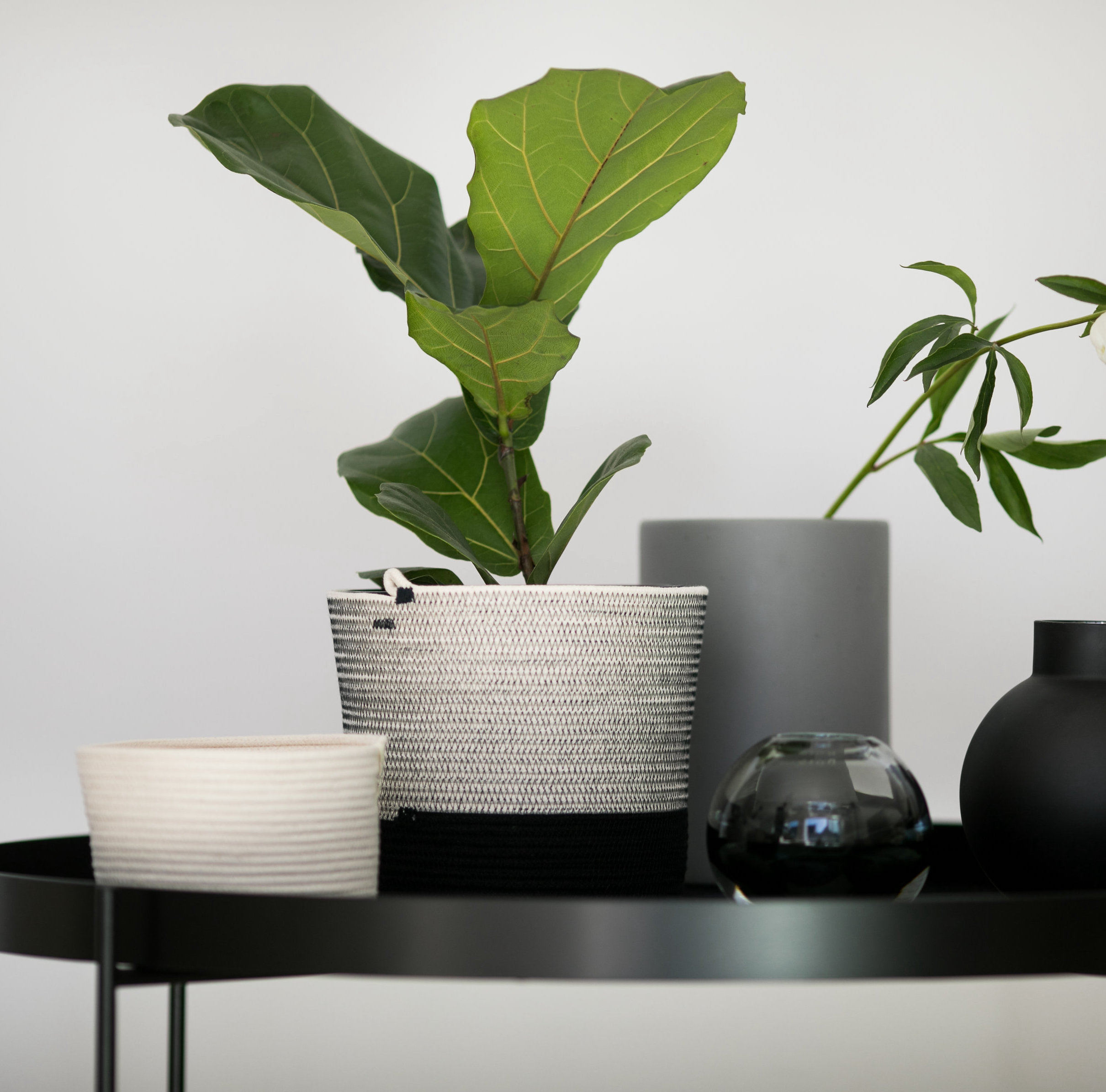 mia mélange | vaso, liquorice
