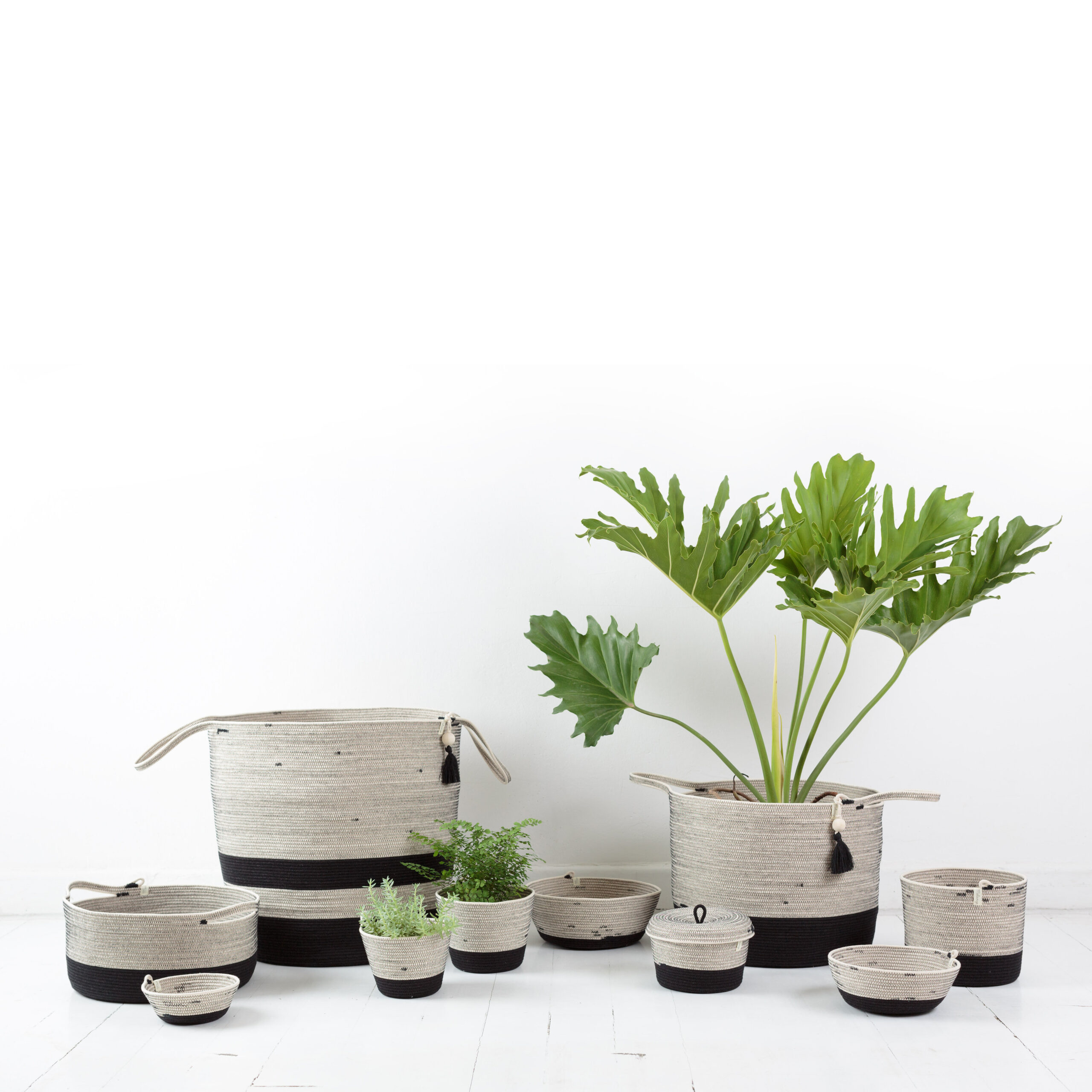 mia mélange | vaso, liquorice