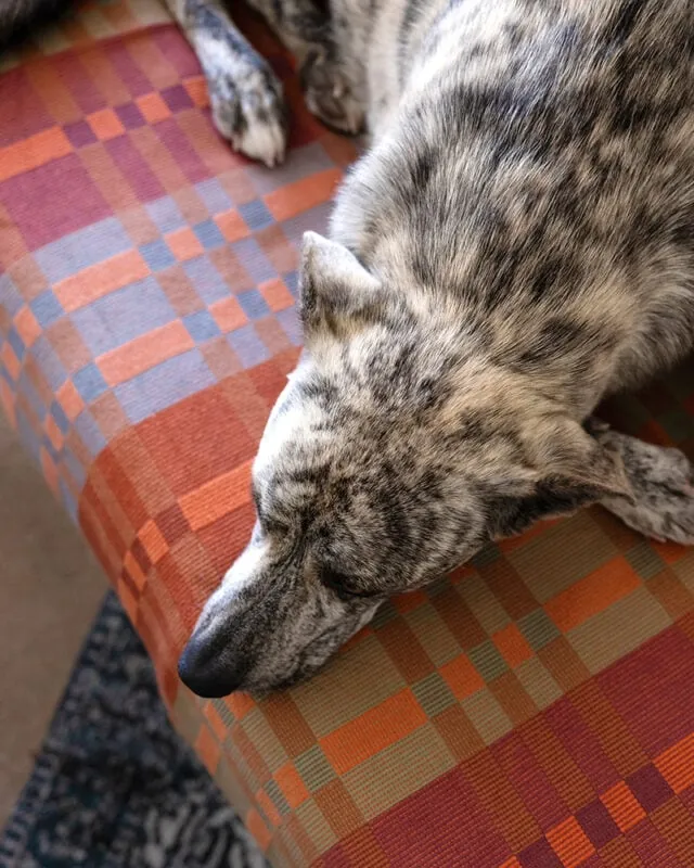 bakuba throw