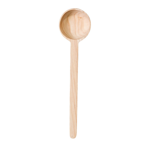 wooden spoon.jpg