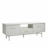 pala tv unit